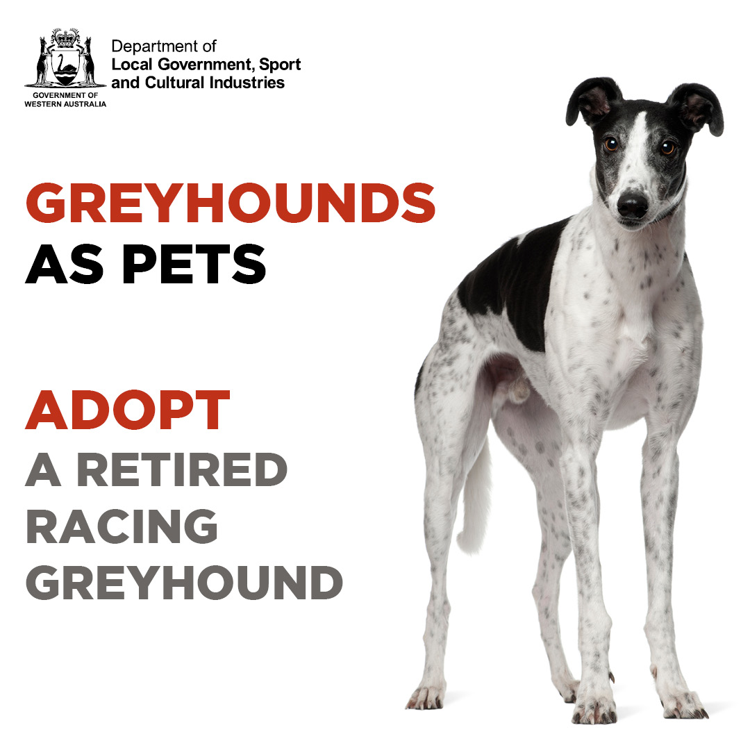 Dogs Refuge Home Wa Inc Home Facebook