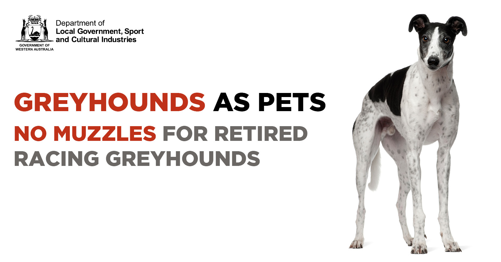 greyhound muzzle australia