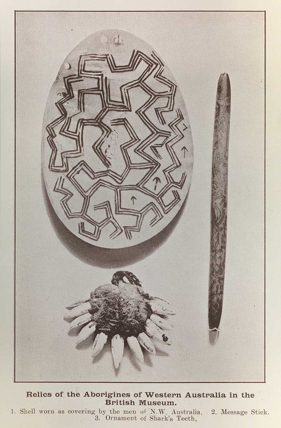Decorated pearl shell, message stick and ornament made from shark teeth held at the British Museum in 1907