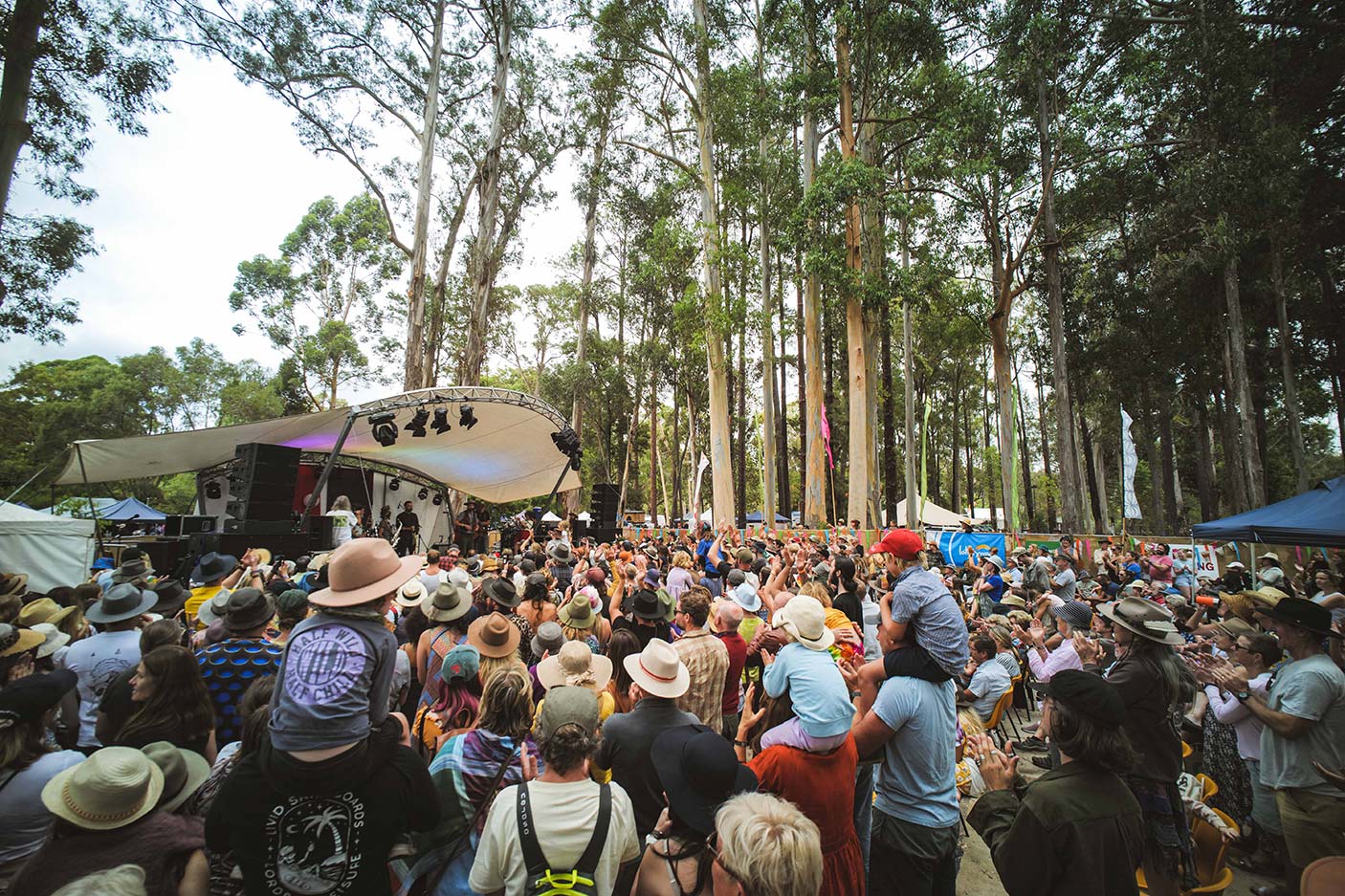 A crowd at a music festival