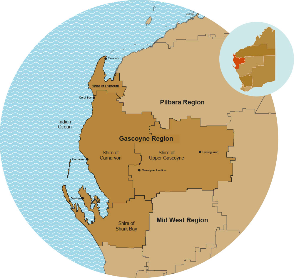 The Gacoyne region shown in context of Western Australian and its local government areas.