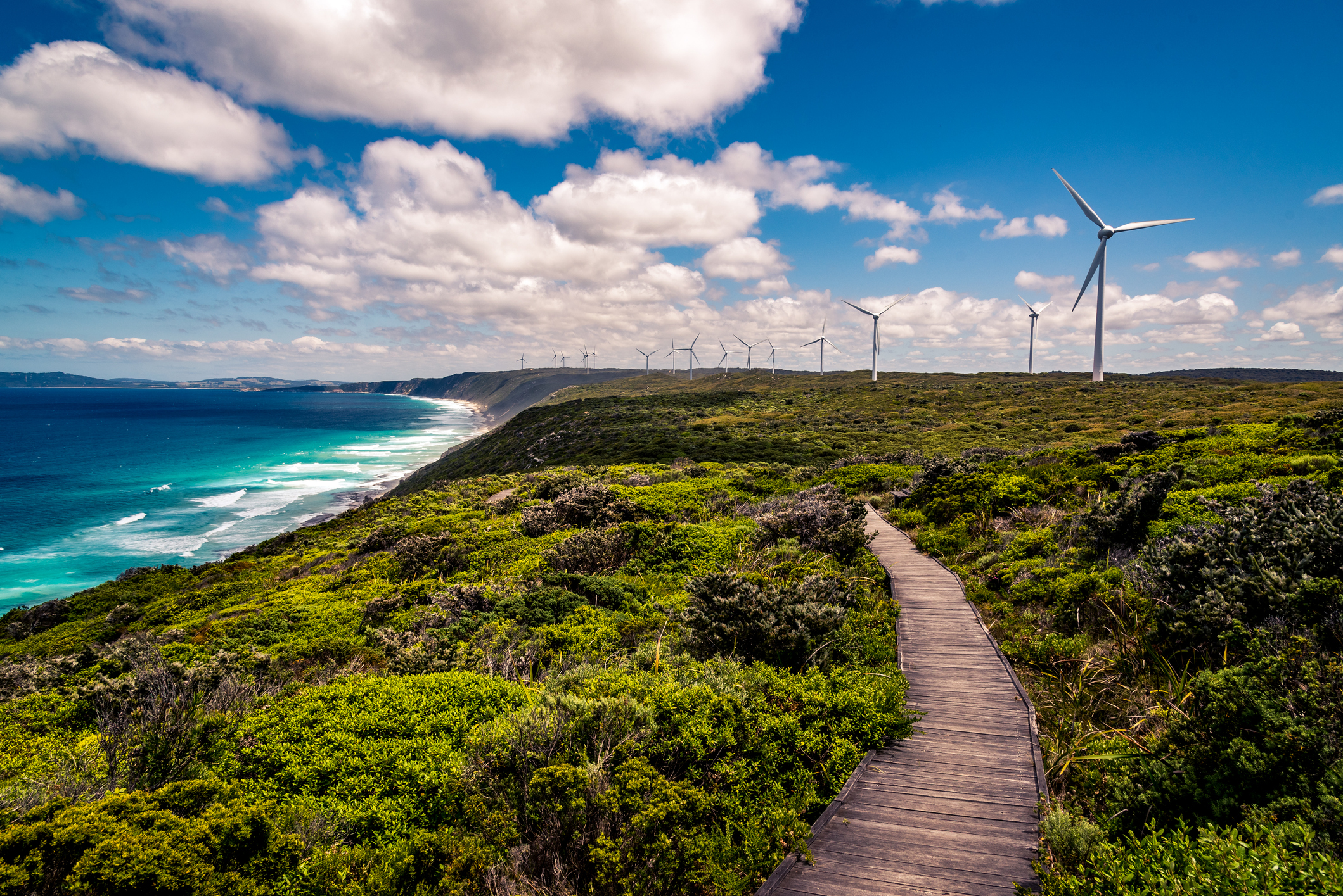 Albany wind farm