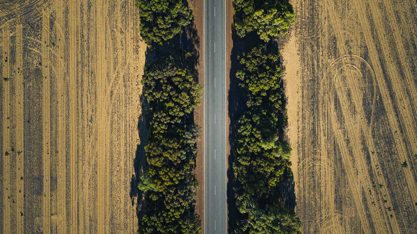 Drone shot of a treelined road in an agricultural field