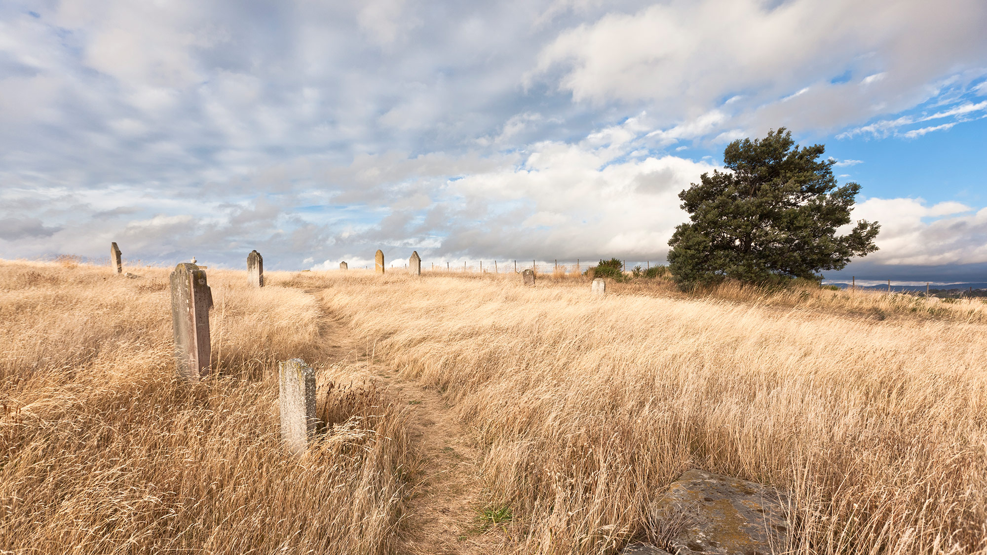 Gravestones on a grassy field