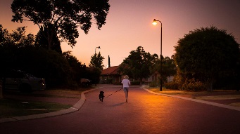 Stock image of someone walking their dog in the evening