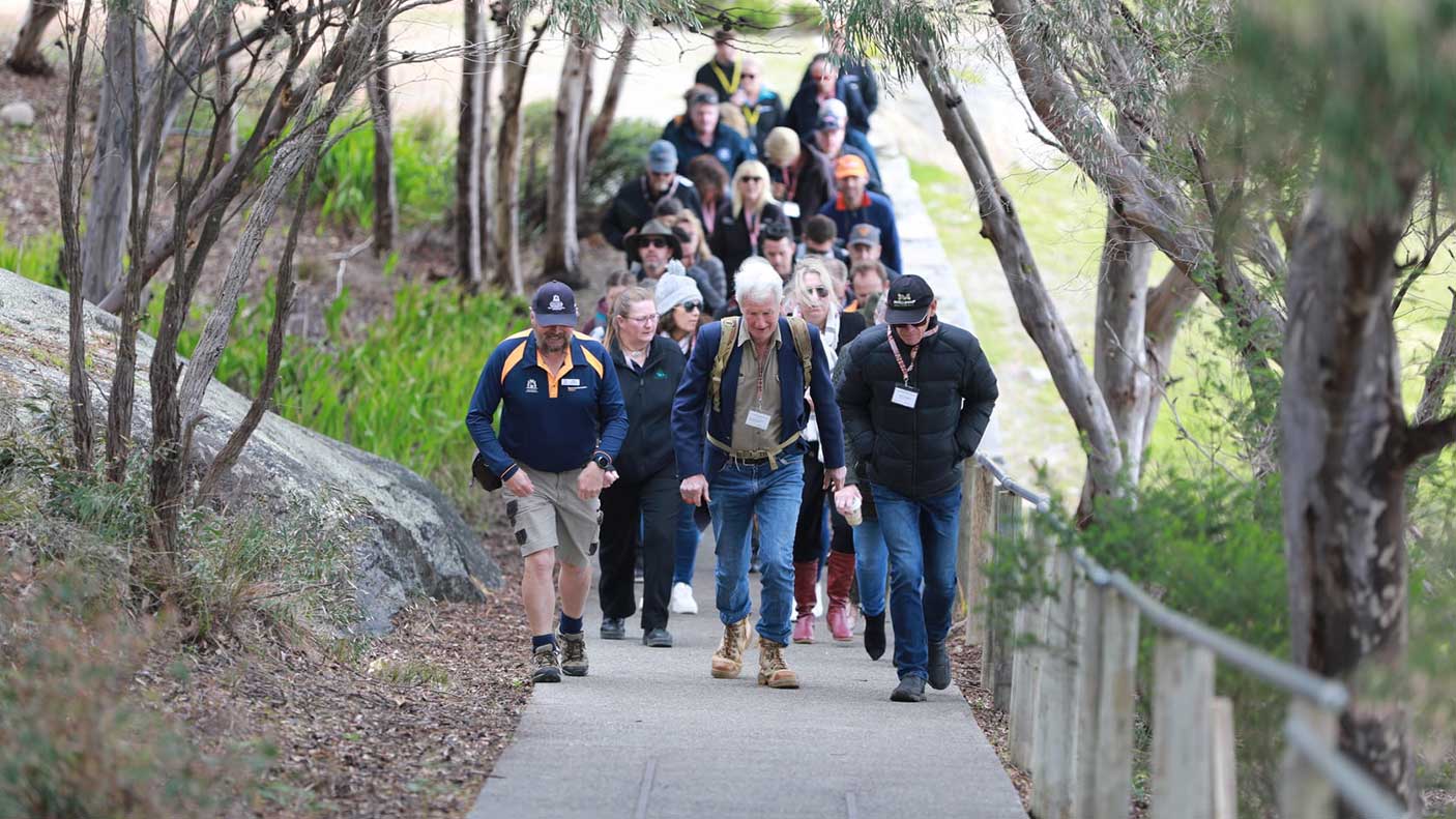 A group of people walking together along a path