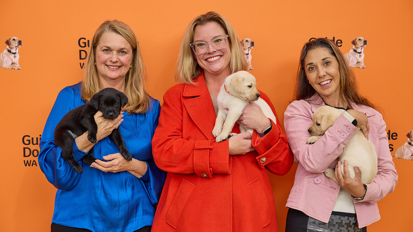 Three women holding labrador puppies pose for the camera.