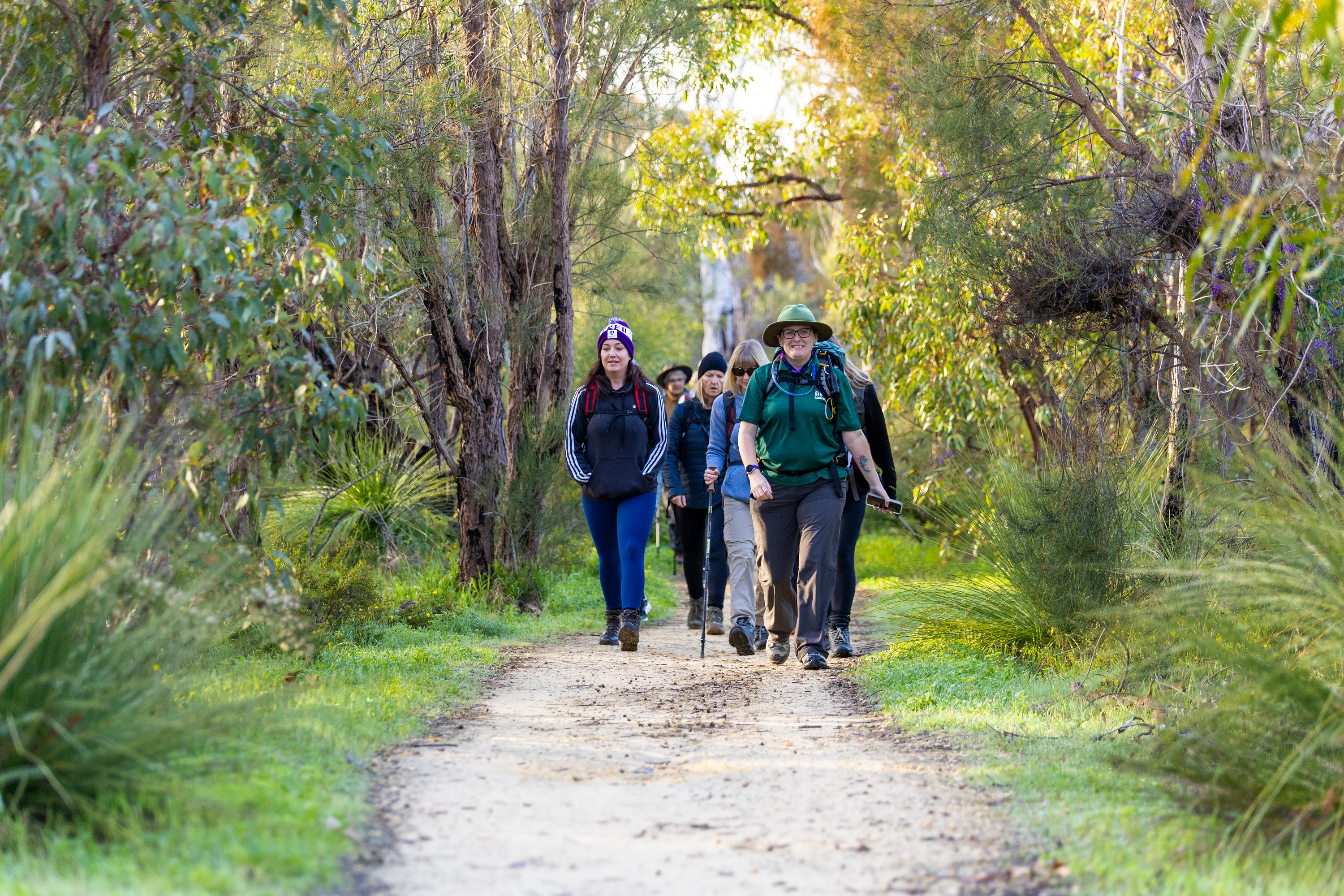 A group of hikers on a trail