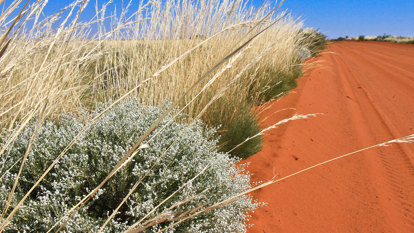 Red dirt road in Western Australia