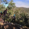 Participants abseiling in the Perth hills