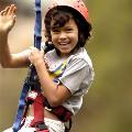 flying-fox---close-up-(2)