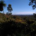 guided-bush-walk