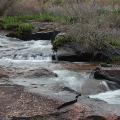 A water stream over some rocks in the bush