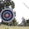 archery-target