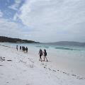 bush-walking-at-camp-quaranup