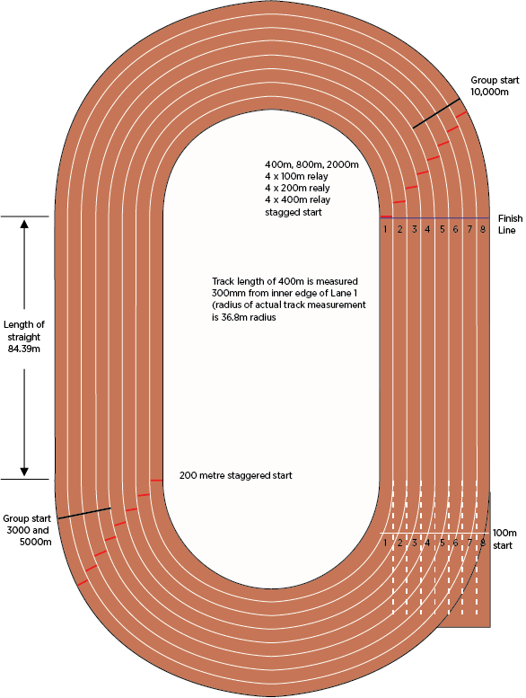 track and field dimensions