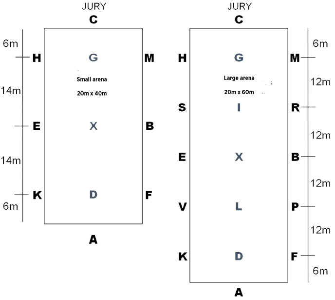 Dressage small and large arena dimensions