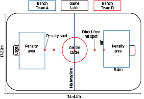 rink hockey diagram dimensions